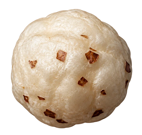 Gorgonn high-grade makhana